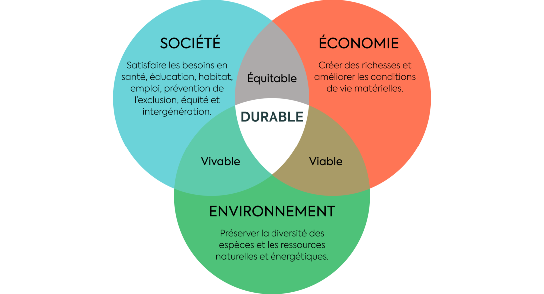 Comprendre Les Enjeux RSE | Yaca