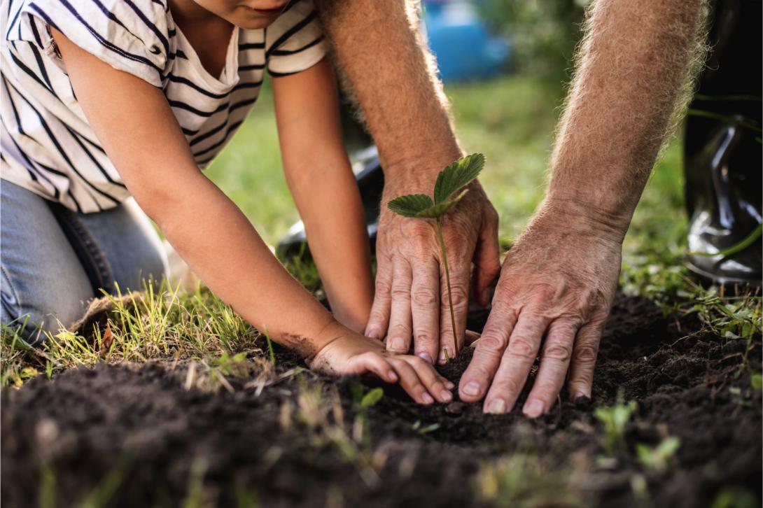 Quel produit choisir pour faire un investissement écologique ?